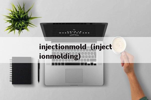 injectionmold（injectionmolding）