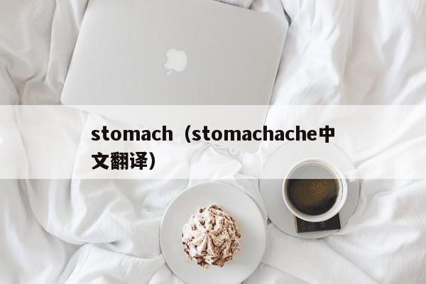 stomach（stomachache中文翻译）